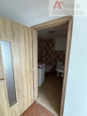 Pronájem bytu 1+1, Ondratice, 38 m2