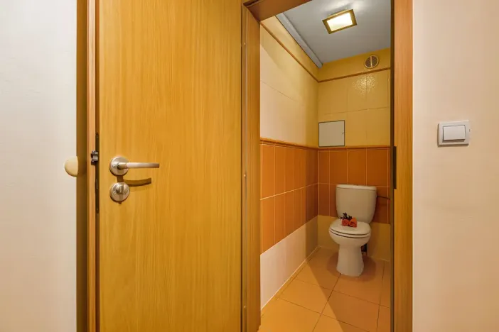Prodej bytu 3+kk, Šestajovice, Komenského, 116 m2