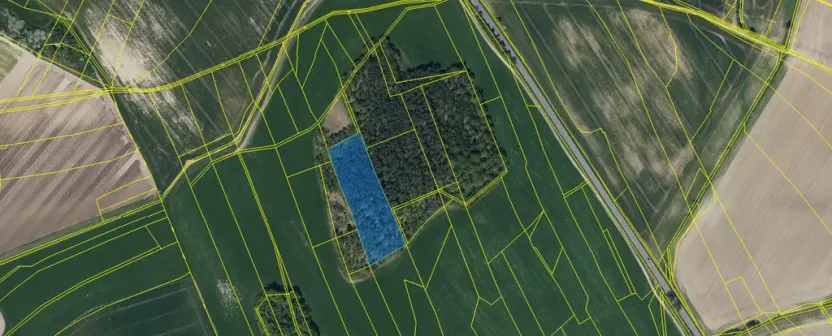 Prodej lesa, Ostřetín - Vysoká u Holic, 11957 m2
