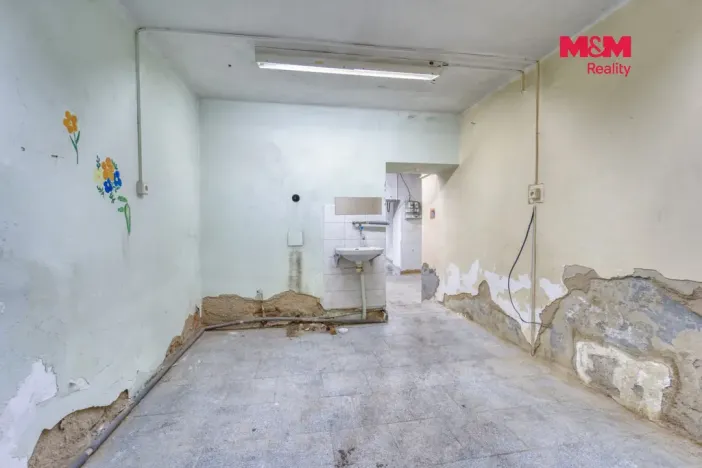 Prodej obchodního prostoru, Plzeň, Božkovská, 77 m2