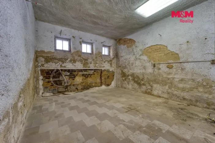 Prodej obchodního prostoru, Plzeň, Božkovská, 77 m2
