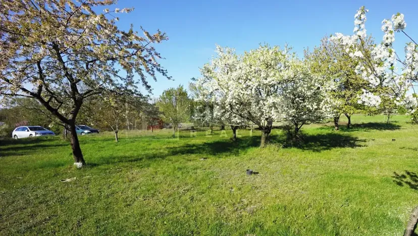 Prodej zahrady, Mělník, 9817 m2