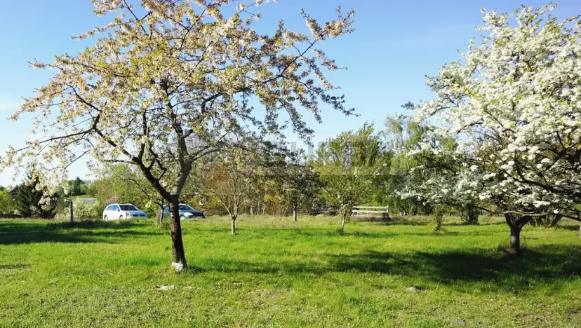 Prodej zahrady, Mělník, 9817 m2