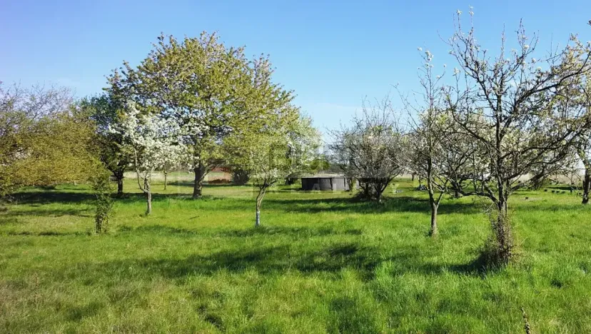 Prodej zahrady, Mělník, 9817 m2