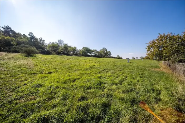 Prodej pozemku pro bydlení, Daleké Dušníky, 5258 m2