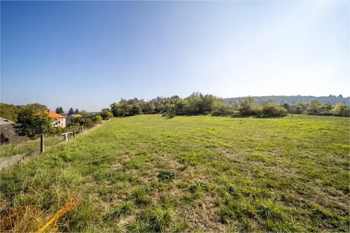 Prodej pozemku pro bydlení, Daleké Dušníky, 5258 m2
