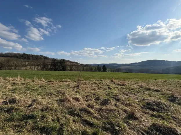 Prodej pozemku pro bydlení, Petrovice, 6579 m2