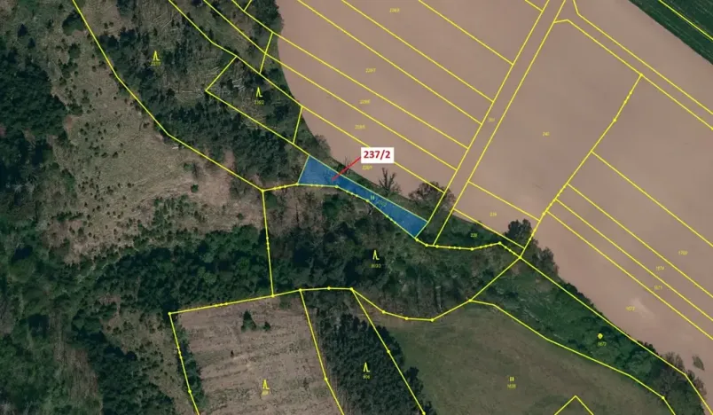 Dražba louky, Čikov, 510 m2