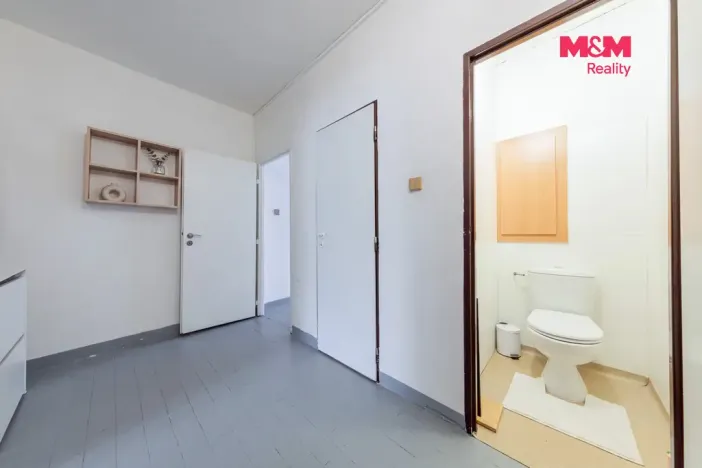 Prodej bytu 2+1, Chodov, Vítězná, 54 m2