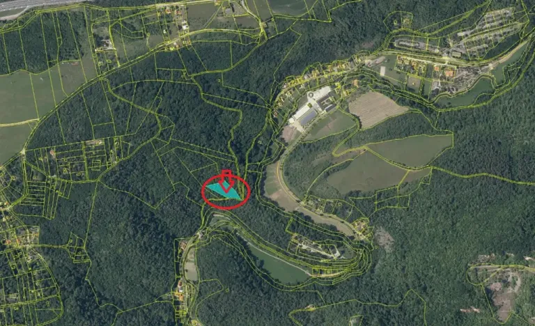 Prodej lesa, Svatý Jan pod Skalou, 3269 m2