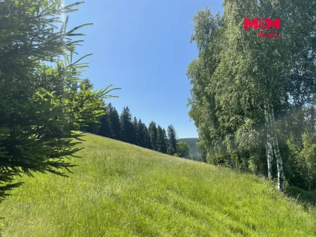 Prodej pole, Spělkov, 25164 m2