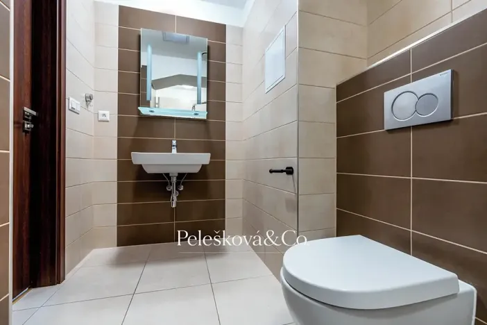 Pronájem bytu 1+kk, Praha - Holešovice, Jankovcova, 38 m2