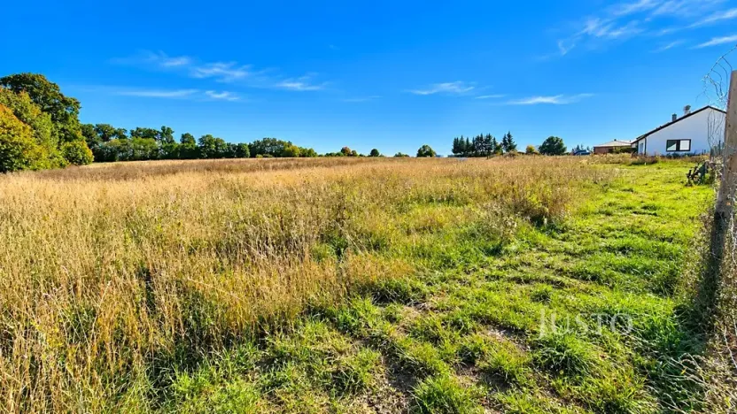 Prodej pozemku pro bydlení, Čížová, 955 m2