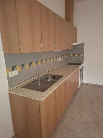Pronájem bytu 1+1, Plzeň, Kollárova, 73 m2