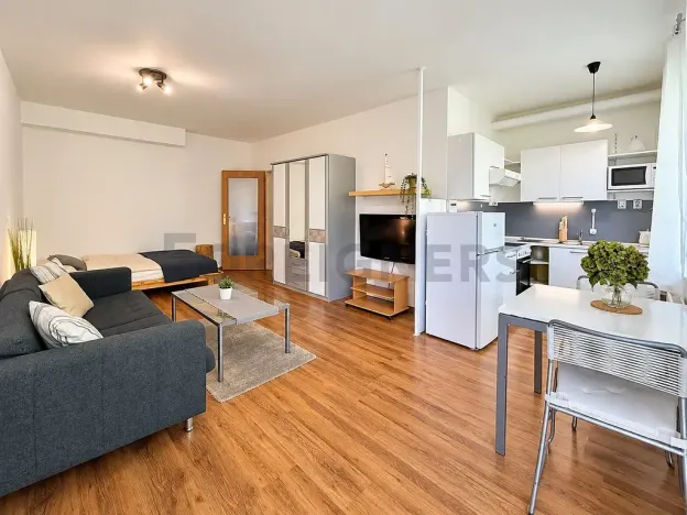 Pronájem bytu 1+kk, Brno, Adamcova, 34 m2