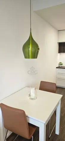 Pronájem bytu 2+kk, Brno - Veveří, Lidická, 55 m2
