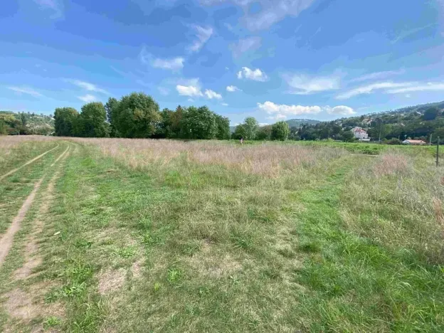 Dražba louky, Všenory, 782 m2