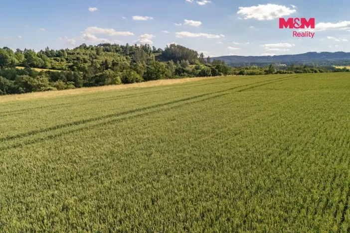Prodej pole, Rožmitál pod Třemšínem - Skuhrov, 1150 m2