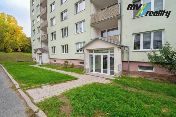 Prodej bytu 1+1, Milovice, Armádní, 33 m2