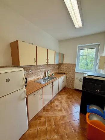 Prodej výrobních prostor, Mladá Boleslav, Ptácká, 1011 m2