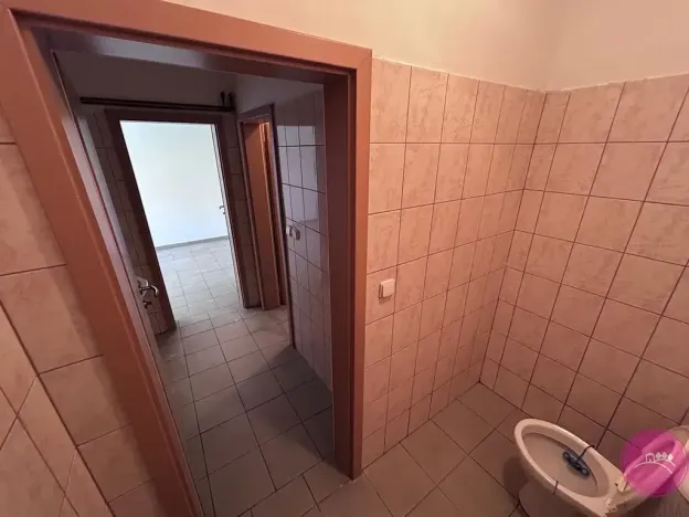 Pronájem výrobních prostor, Hlušovice, Okružní, 318 m2