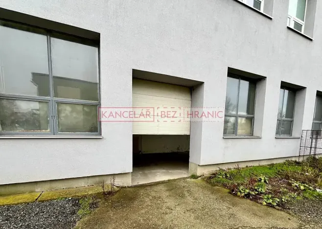 Pronájem nemovitosti, 171 m², Boršice
