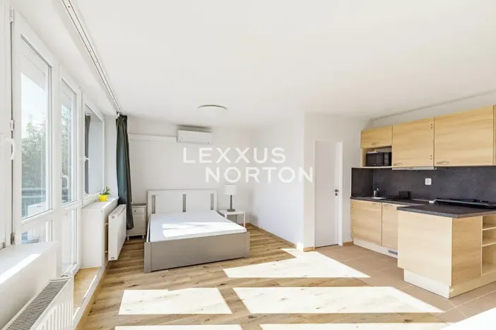 Pronájem bytu 1+kk, Praha - Smíchov, Nad Palatou, 35 m2