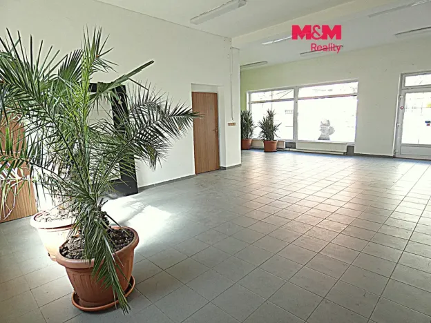 Pronájem obchodního prostoru, Ostrava - Mariánské Hory, Přemyslovců, 66 m2