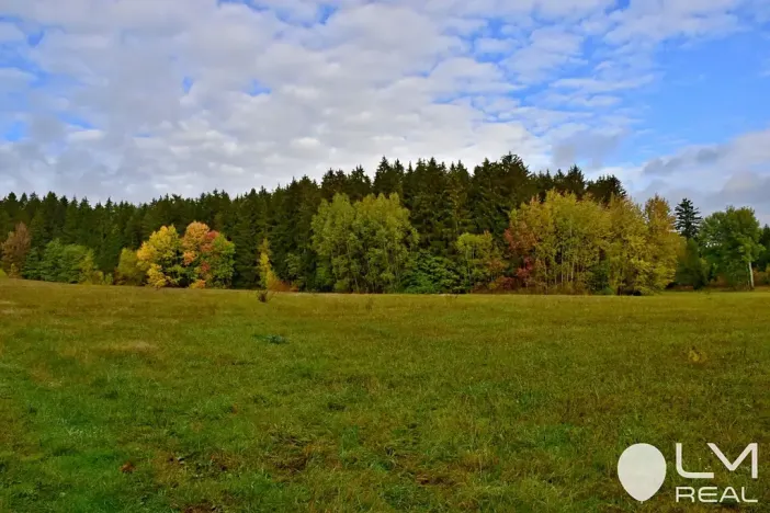 Prodej lesa, Řečice, 9184 m2