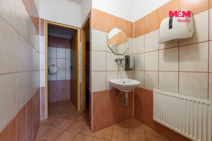Prodej ubytování, Františkovy Lázně - Horní Lomany, Družstevní, 618 m2