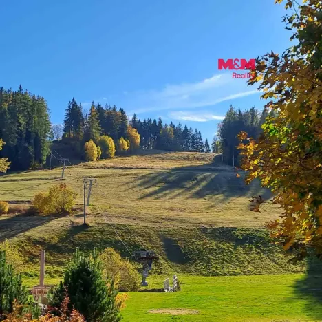Prodej pole, Stará Ves, 8308 m2
