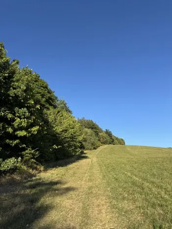Prodej podílu lesa, Albrechtice, 2552 m2