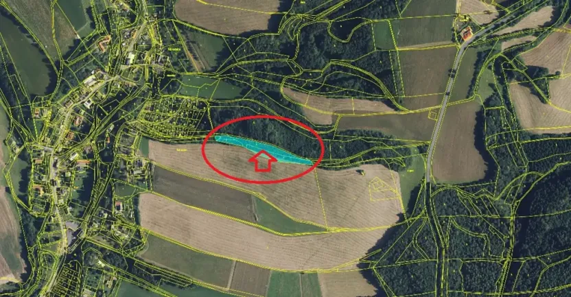 Prodej podílu lesa, Albrechtice, 2552 m2