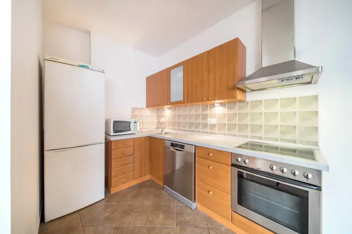 Pronájem atypického bytu, Brno, Tučkova, 80 m2