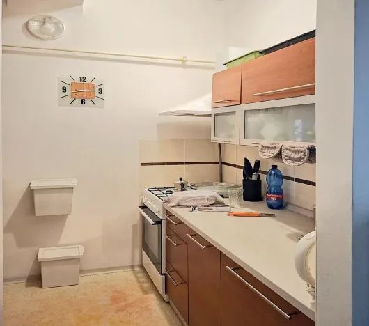 Pronájem bytu 2+1, Praha - Karlín, Thámova, 50 m2