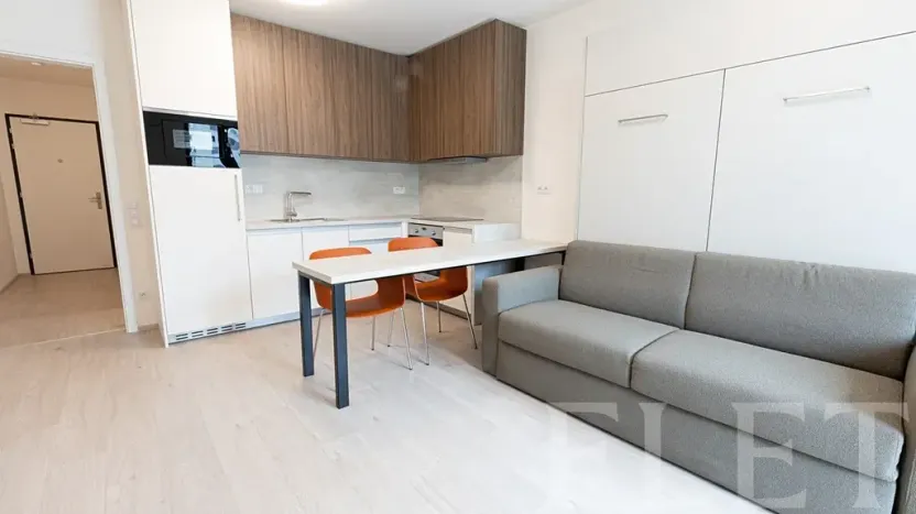 Pronájem bytu 1+kk, Praha - Žižkov, Hartigova, 32 m2