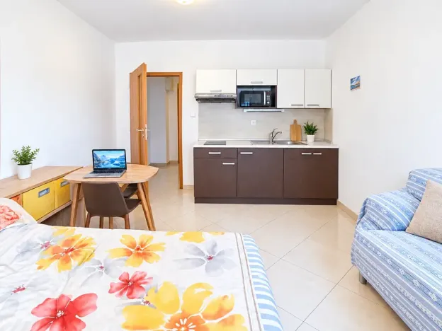 Prodej bytu 1+kk, 29 m², Vranovská, Brno