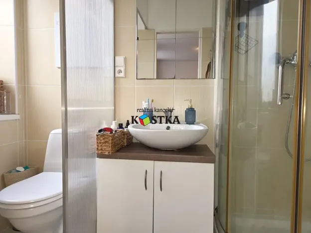 Pronájem bytu 1+1, Nový Jičín, K Nemocnici, 47 m2