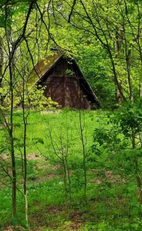 Prodej - jiné, Kostomlaty pod Milešovkou, 73 m2