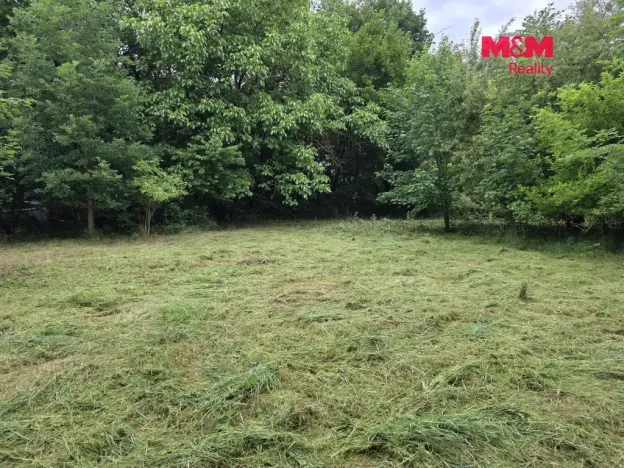 Prodej pozemku pro bydlení, Bor - Boječnice, 1115 m2