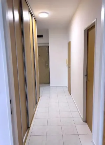 Pronájem bytu 2+kk, Plzeň - Severní Předměstí, Znojemská, 64 m2