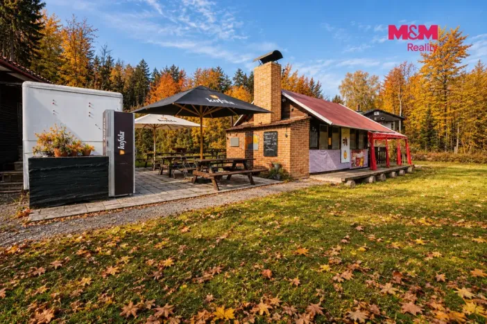 Prodej komerčního pozemku, Krucemburk - Staré Ransko, 21872 m2