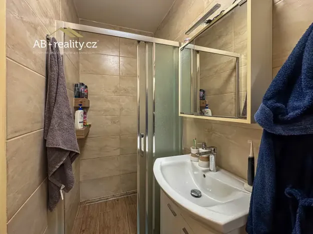 Pronájem bytu 2+1, Teplice, Jankovcova, 50 m2