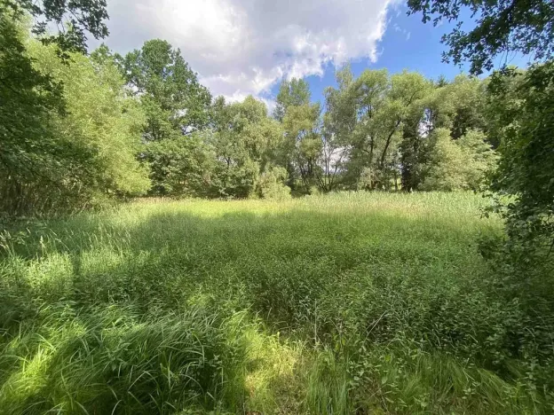 Prodej pozemku, 4246 m², Nové Hrady, Štiptoň