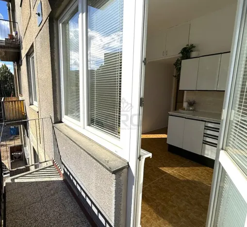 Prodej bytu 1+1, 38 m², Nejedlého, Brno, Lesná