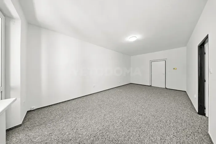 Pronájem bytu 3+1, Plzeň, Mánesova, 75 m2