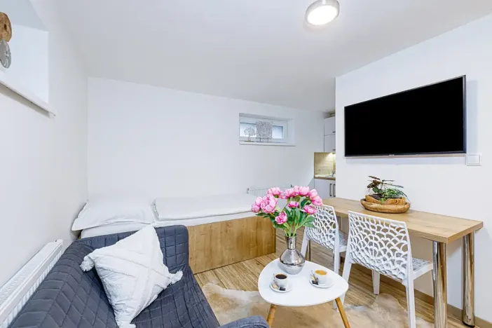 Pronájem bytu 1+kk, Zlín, Vejvanovská, 20 m2
