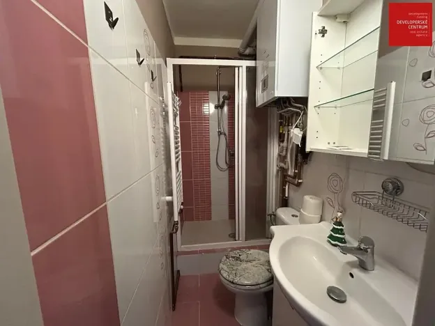 Pronájem bytu 2+1, Mariánské Lázně, Hlavní třída, 45 m2