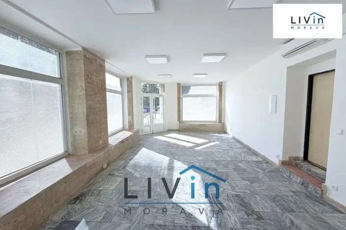 Pronájem obchodního prostoru, Olomouc, Smrčkova, 48 m2