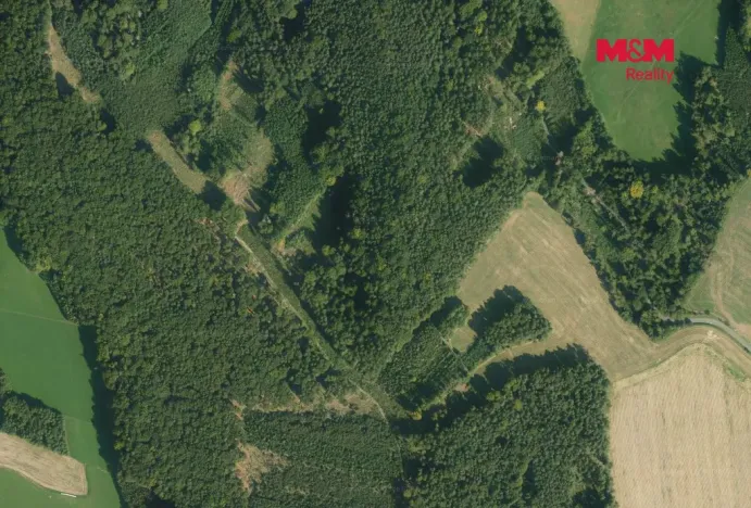 Prodej lesa, Luže - Doly, 4481 m2